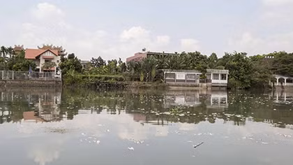 “Cá chết trắng bè trên sông Đồng Nai”:Khi ngư dân có “tiền sử” tự cứu 