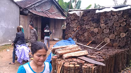 Sơn nữ Giẻ Triêng đốn củi “bắt chồng” 