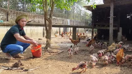 Làm giàu nhờ nuôi ba ba, cá nước ngọt