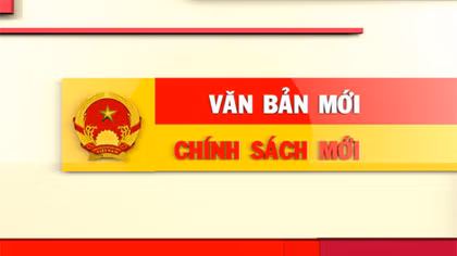 Những chính sách mới có hiệu lực từ tháng 6-2016