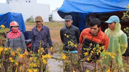 Nỗi niềm ăn, ngủ cùng mai
