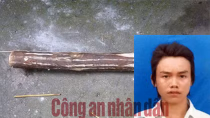 Dùng gậy gỗ đập vào đầu phụ nữ để cướp tài sản