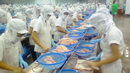Doanh nghiệp Việt lãnh đủ đòn vì thủ tục "hành là chính"