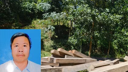 Bắt PGĐ phụ trách rừng phòng hộ thanh lý gỗ lậu để tiêu xài cá nhân