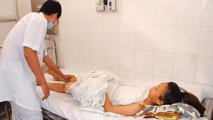 Rắn lục đuôi đỏ tấn công người hái cà phê
