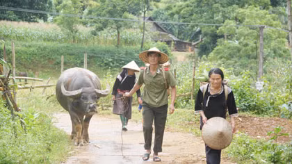 Dấu ấn của những đôi chân không mỏi