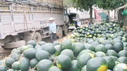 Gửi tiền tiết kiệm, người bán dưa hấu trở thành tỷ phú