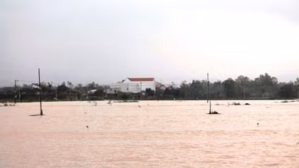 Mưa lũ gây ngập úng cục bộ tại Bình Định