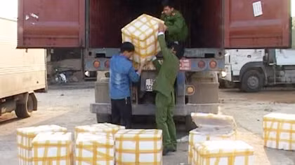 Bắt giữ gần 4 tạ cá nheo lậu Trung Quốc đang trên đường về xuôi