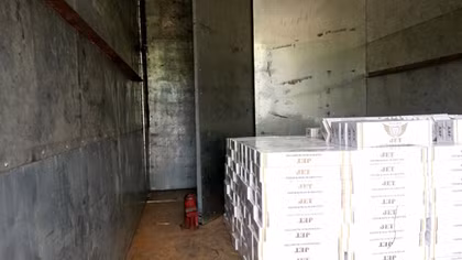 Phát hiện vụ vận chuyển gần 1.000 cây thuốc lá lậu