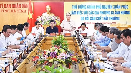 Khẩn trương xác định nguyên nhân hải sản chết bất thường