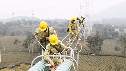 Việt Nam không cho phép nhà đầu tư nước ngoài phân phối xăng dầu và điện