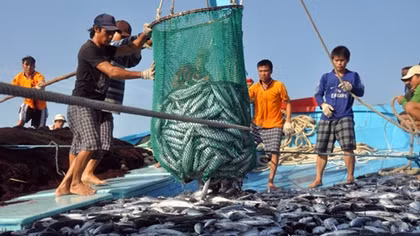 Ủy ban Trung ương Mặt trận Tổ quốc Việt Nam hỗ trợ ngư dân Thừa Thiên - Huế