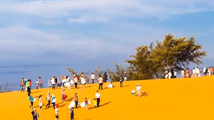 Trồng rừng ở "đồi cát bay, cát nhẩy"