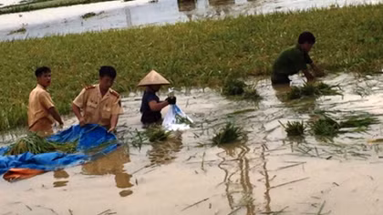 Ninh Bình khẩn trương khắc phục hậu quả mưa lũ
