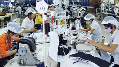 60% nợ bảo hiểm xã hội là từ doanh nghiệp ngoài quốc doanh