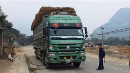 Đình chỉ công tác Chánh Thanh tra Sở GTVT Thanh Hóa