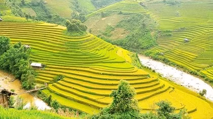 Lào Cai tổ chức Hội nghị xúc tiến và quảng bá du lịch