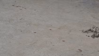 Vừa đưa con đi học về, chị dâu bị em chồng vác dao chém lia lịa