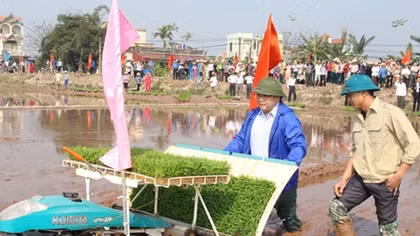 Lãnh đạo TP Hà Nội xuống đồng cấy lúa khai xuân