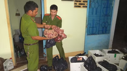 Gần 400kg thịt và xương heo bốc mùi hôi thối chuẩn bị đến quán nhậu