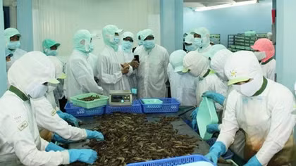 Trên 90% công nhân trở lại làm việc sau Tết