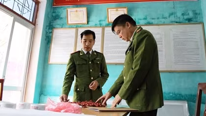 Tạm đình chỉ công tác Chủ tịch UBND và Trưởng Công an phường