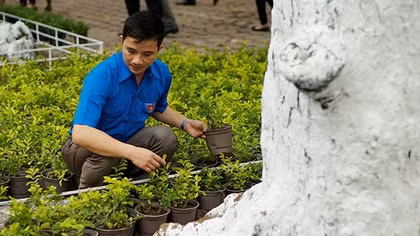 Hà Nội nhân rộng tuyến đường hoa thanh niên