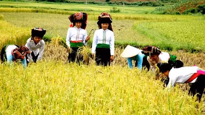 Thành phố trẻ bên dòng Nậm Rốm