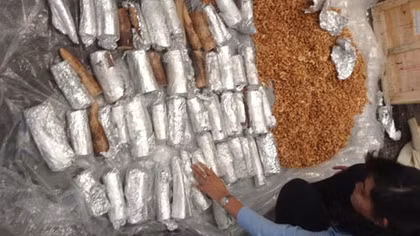 Khó xử lý với ngà voi buôn lậu bị bắt giữ