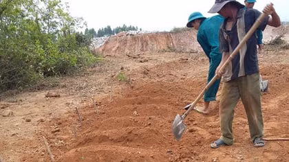 Yêu cầu xử lý vụ xâm hại hàng trăm ngôi mộ tại Nghĩa trủng Nghi An