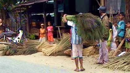 Giáo viên vất vả vì học sinh nghỉ học đi chặt đót