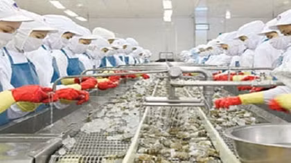 Sẽ thanh tra Bộ Giáo dục và Đào tạo