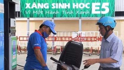 Từ năm 2016, Hà Nội sử dụng xăng E5 cho xe công vụ