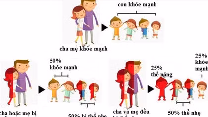 Cận huyết thống vẫn đăng ký kết hôn