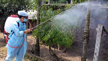 Phát hiện ổ dịch cúm A/H5N6 ở Lai Châu