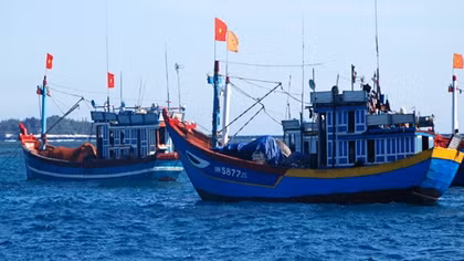 Hỗ trợ ngư dân Quảng Ngãi trên 400 tỷ đồng để nuôi trồng hải sản và đánh bắt xa bờ