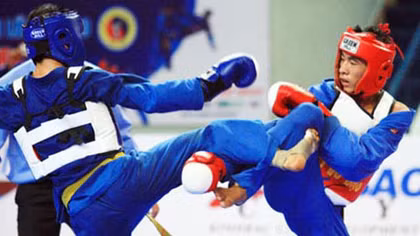 22 võ sĩ Việt Nam dự giải Vovinam vô địch thế giới