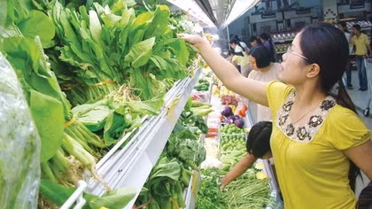 Rau quả đội lốt rau an toàn đang bào mòn lòng tin người tiêu dùng