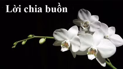 Lời chia buồn với gia đình Trung tá Đặng Ngọc Như