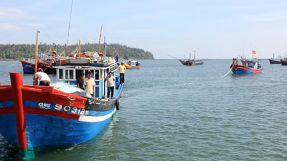 Hỗ trợ ngư dân bị tàu nước ngoài cướp, phá tài sản