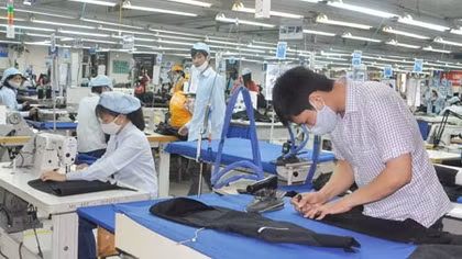 Xuất khẩu lớn, doanh nghiệp dệt may vẫn khó cạnh tranh trên sân nhà