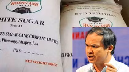 Đề nghị quản lý chặt đường nhập khẩu của Hoàng Anh Gia Lai từ Lào
