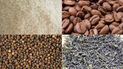 Giá xuất khẩu nhiều mặt hàng nông sản tăng