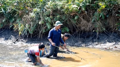 Đi xiệc cá, tử vong trong bưng lầy