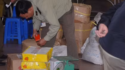 382 kg mứt Trung Quốc giả Đặc sản Đà Lạt