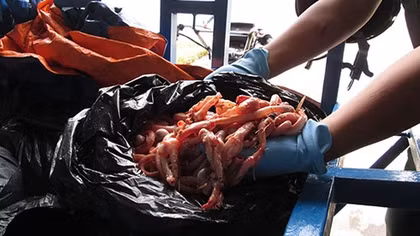 Kịp thời thu giữ 700kg nội tạng động vật 'bẩn'