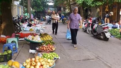 Thị trường sau Tết ổn định, nguồn cung dồi dào