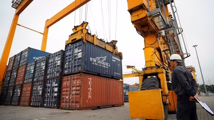 Ngành Nông nghiệp nhập hơn 11,3 tỷ USD