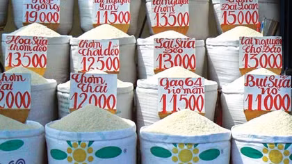 Không thay đổi mức thuế giá trị gia tăng gạo trong nước